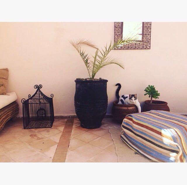 Riad Nejma Lounge Marrakesh Exterior foto