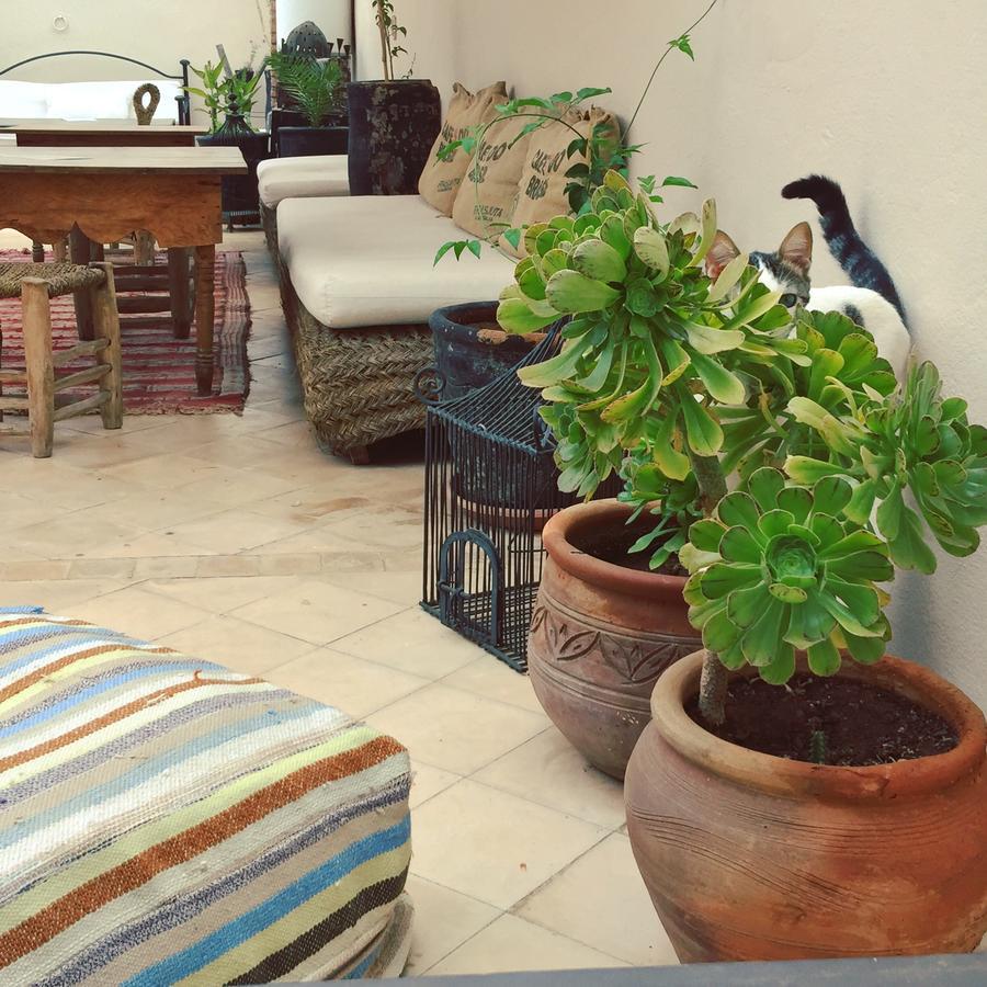 Riad Nejma Lounge Marrakesh Exterior foto